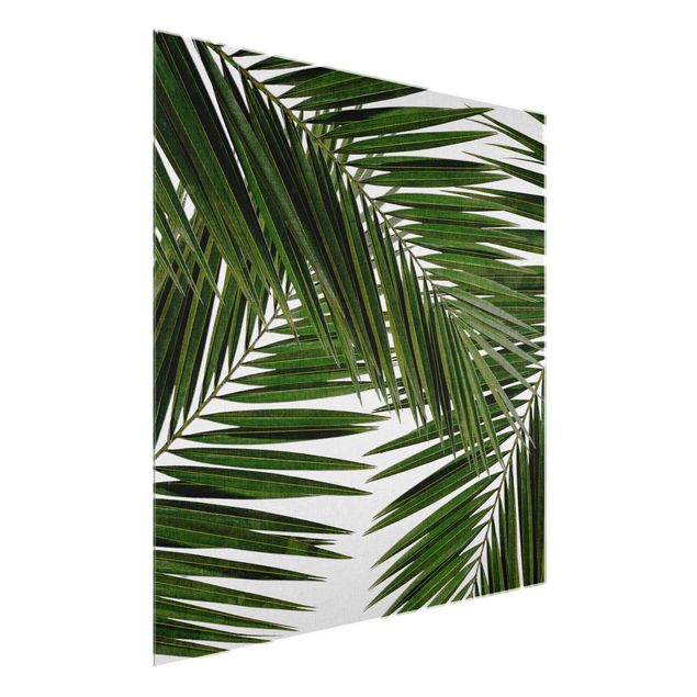 Cuadros plantas View Through Green Palm Leaves