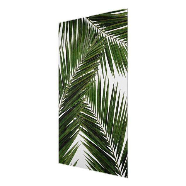 Cuadros tonos verdes View Through Green Palm Leaves