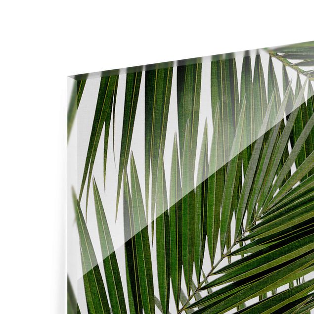 Cuadros modernos View Through Green Palm Leaves