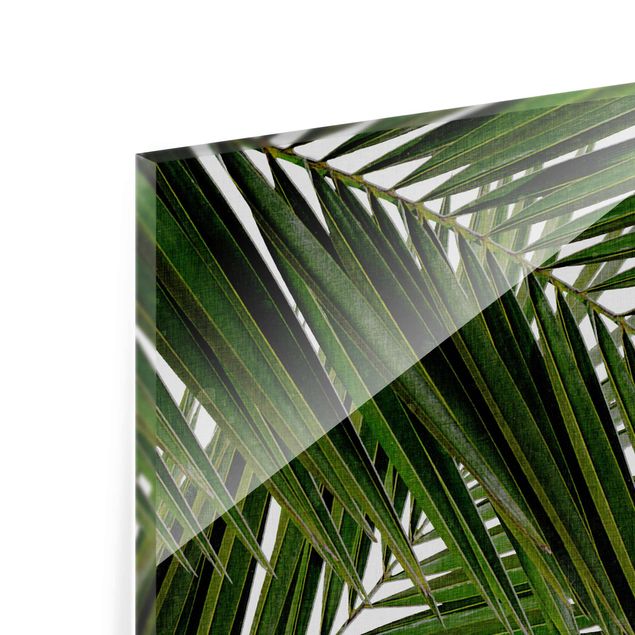 Cuadros View Through Green Palm Leaves
