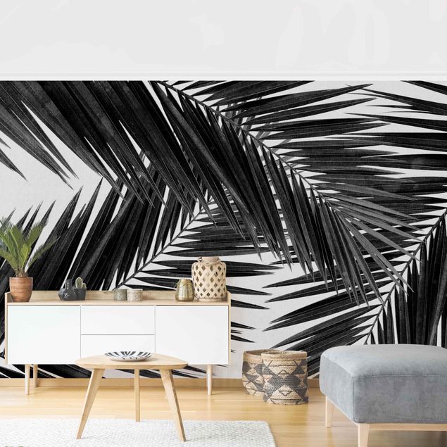 Papel pintado en blanco y negro View Over Palm Leaves Black And White