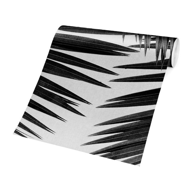 Papeles pintados View Over Palm Leaves Black And White