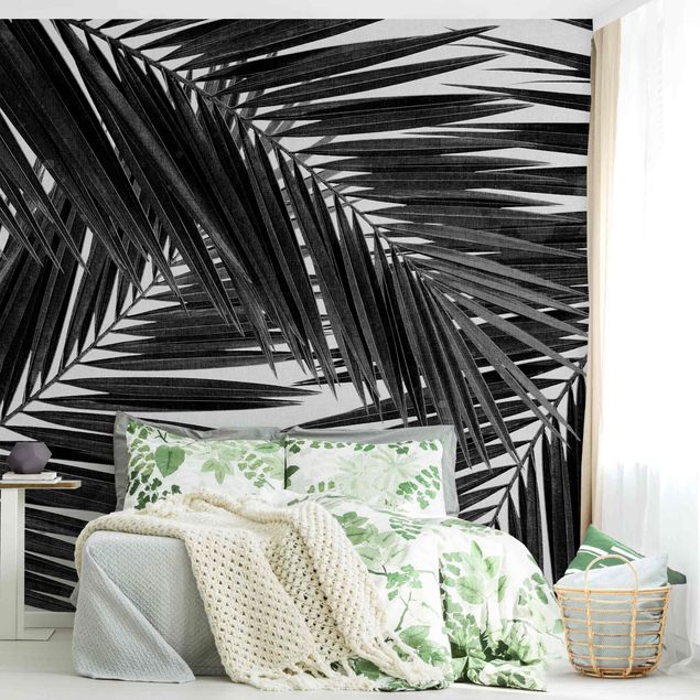 Papel pintado salón moderno View Through Palm Leaves Black And White