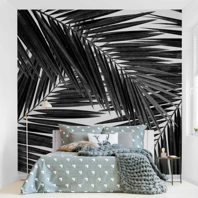 Papeles pintados blanco y negro View Through Palm Leaves Black And White