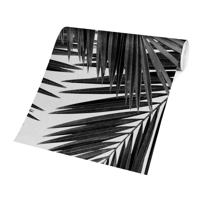 Papel de pared View Through Palm Leaves Black And White