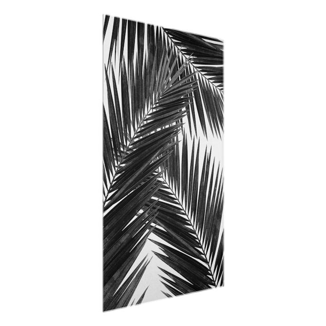 Cuadros de cristal blanco y negro View Through Palm Leaves Black And White
