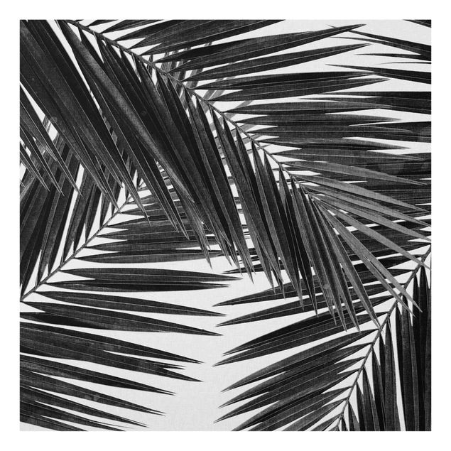 Cuadros de plantas naturales View Through Palm Leaves Black And White