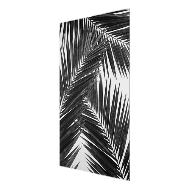 Cuadros en blanco y negro View Through Palm Leaves Black And White