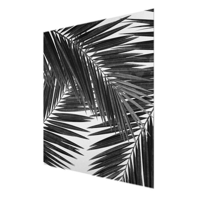 Cuadros modernos blanco y negro View Through Palm Leaves Black And White