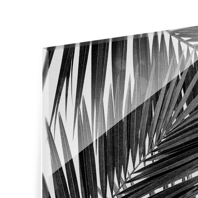 Cuadros decorativos View Through Palm Leaves Black And White