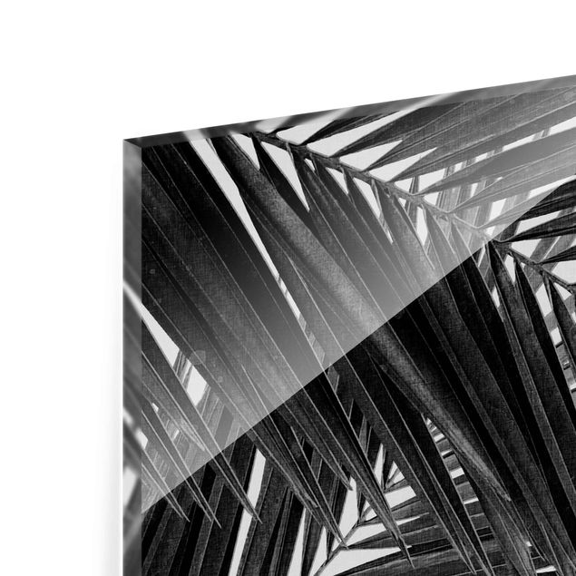 Cuadros modernos View Through Palm Leaves Black And White