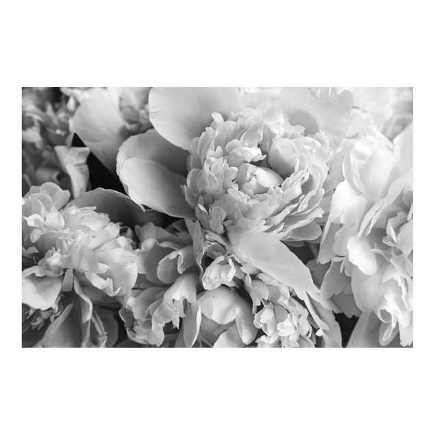 Papeles pintados Blossoming Peonies Black And White
