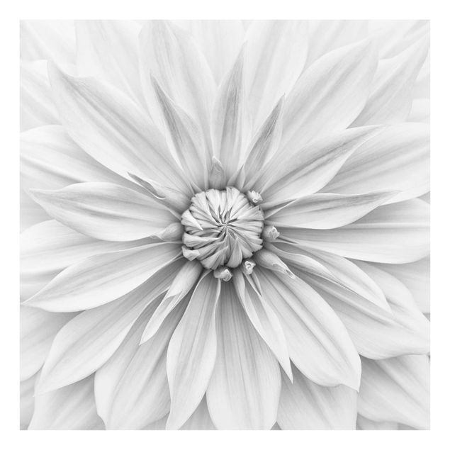 Cuadros en blanco y negro Botanical Blossom In White