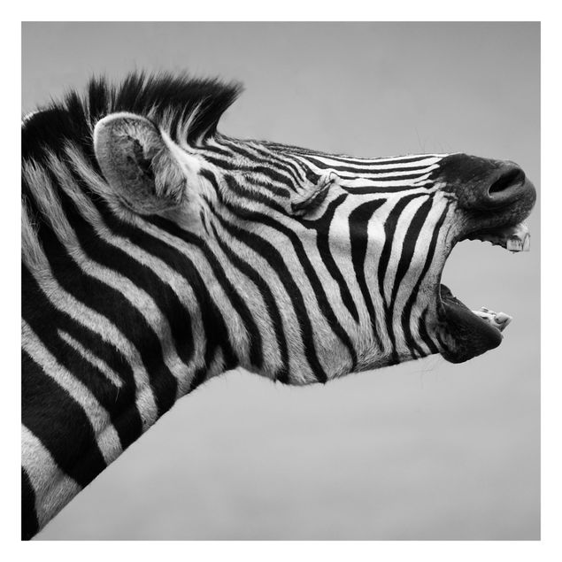 Papeles pintados Roaring Zebra ll