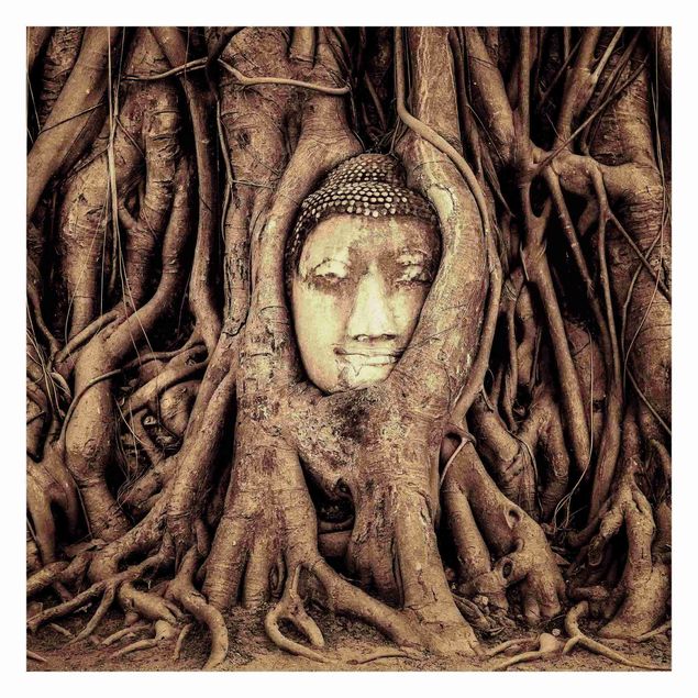 Papeles pintados Buddha In Ayutthaya Lined From Tree Roots In Brown