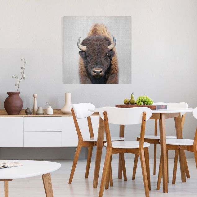 Lienzos animales Buffalo Bertram