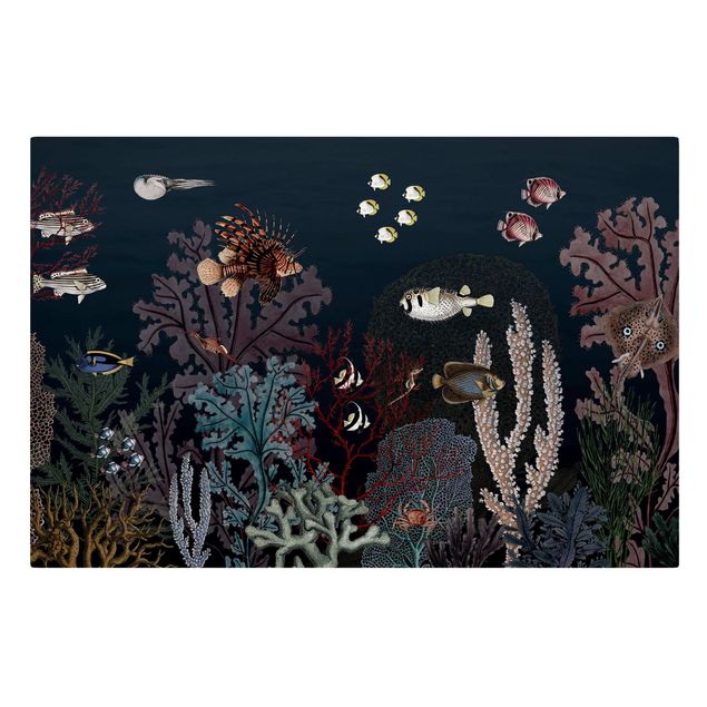 Cuadros con mar Colourful coral reef at night