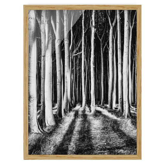 Pósters enmarcados en blanco y negro Spooky Forest