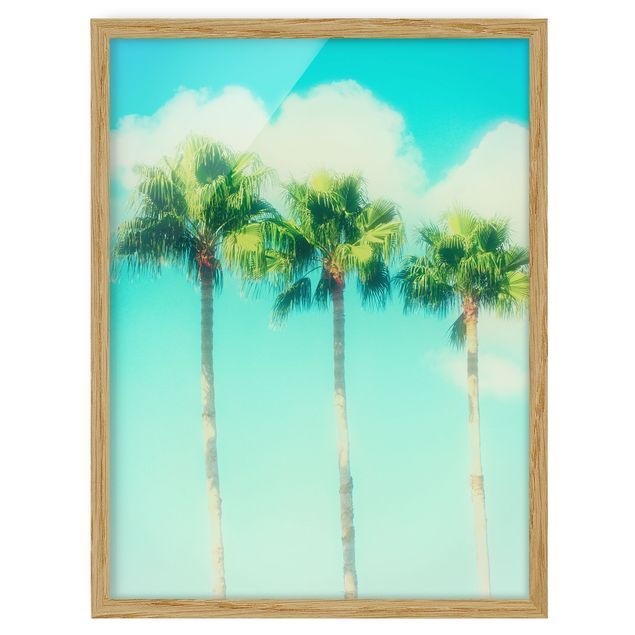 Cuadros de plantas naturales Palm Trees Against Blue Sky