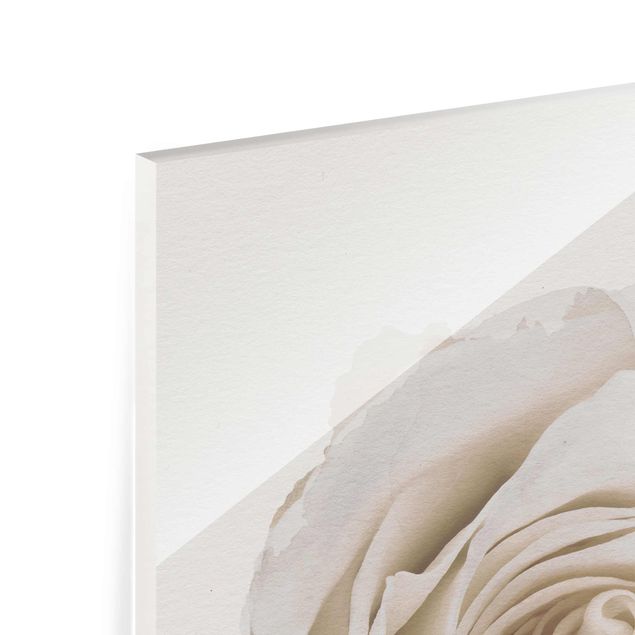Cuadros decorativos WaterColours - Pretty White Rose