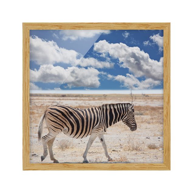 Pósters enmarcados de paisajes Zebra In The Savannah