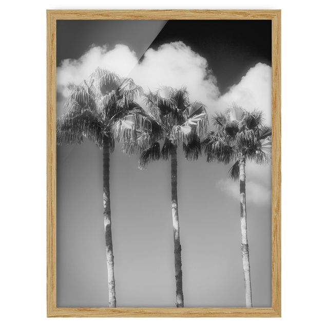 Pósters enmarcados en blanco y negro Palm Trees Against The Sky Black And White