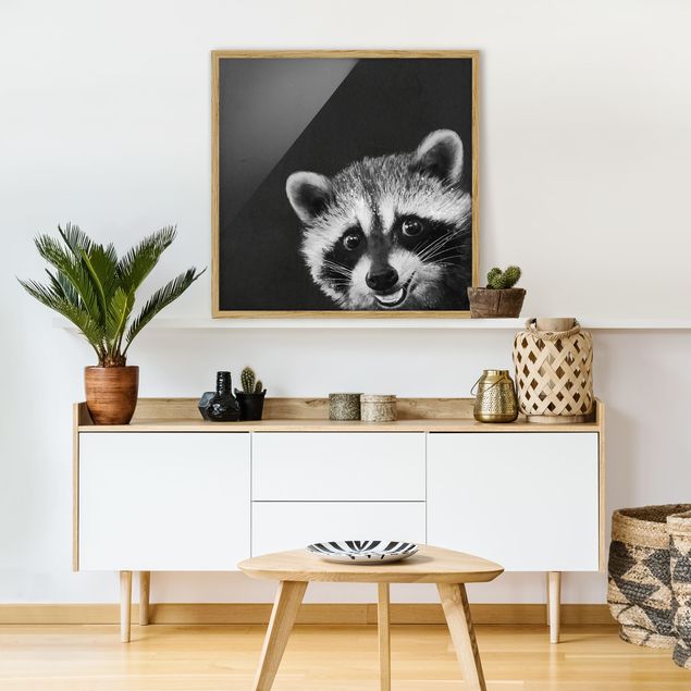 Pósters enmarcados en blanco y negro Illustration Racoon Black And White Painting