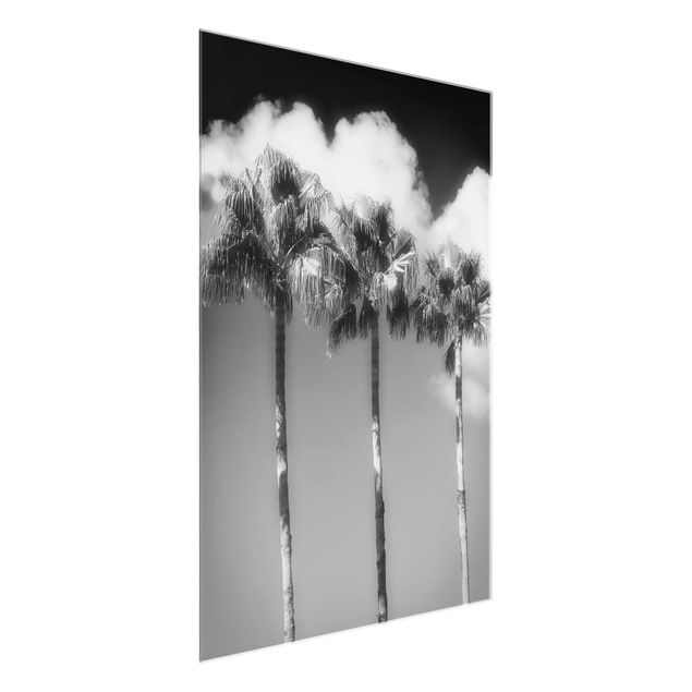 Cuadros de cristal blanco y negro Palm Trees Against The Sky Black And White