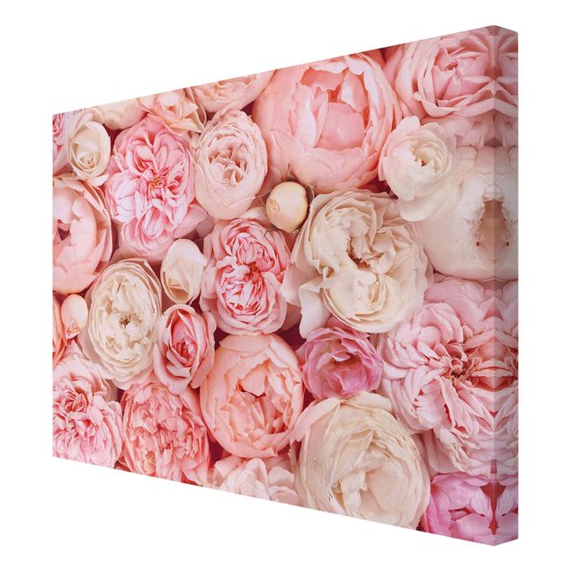 Cuadros decorativos Roses Rosé Coral Shabby