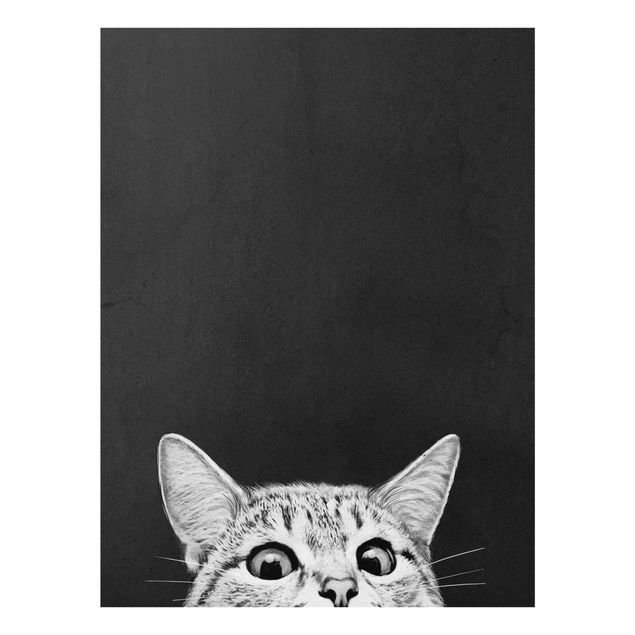 Cuadros de cristal blanco y negro Illustration Cat Black And White Drawing