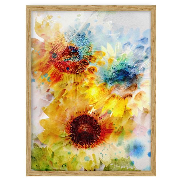 Cuadros de plantas naturales Watercolour Flowers Sunflowers