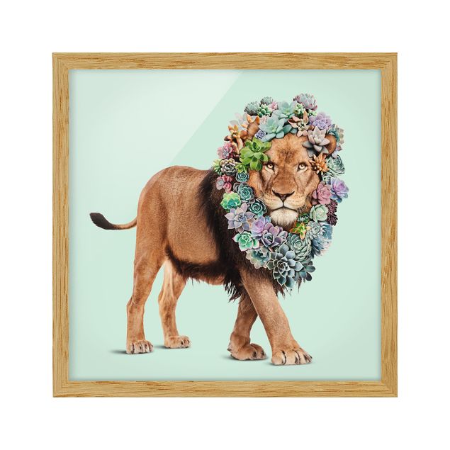 Cuadros león Lion With Succulents