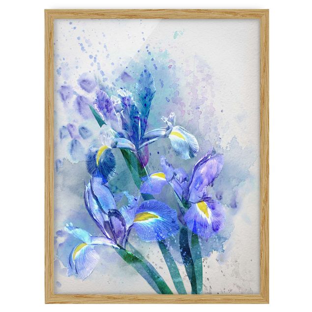 Cuadros de flores Watercolour Flowers Iris