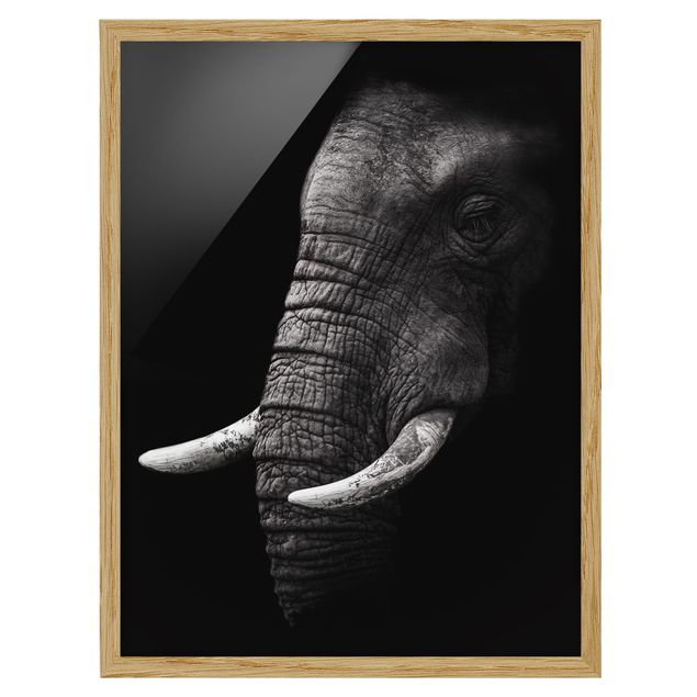 Pósters enmarcados en blanco y negro Dark Elephant Portrait