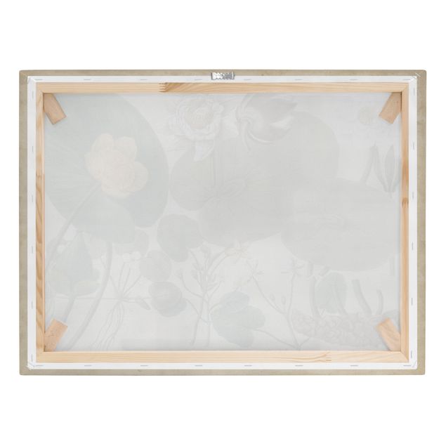 Cuadros modernos Vintage Board White Water-Lily
