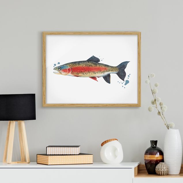 Cuadros de peces modernos Color Catch - Trout