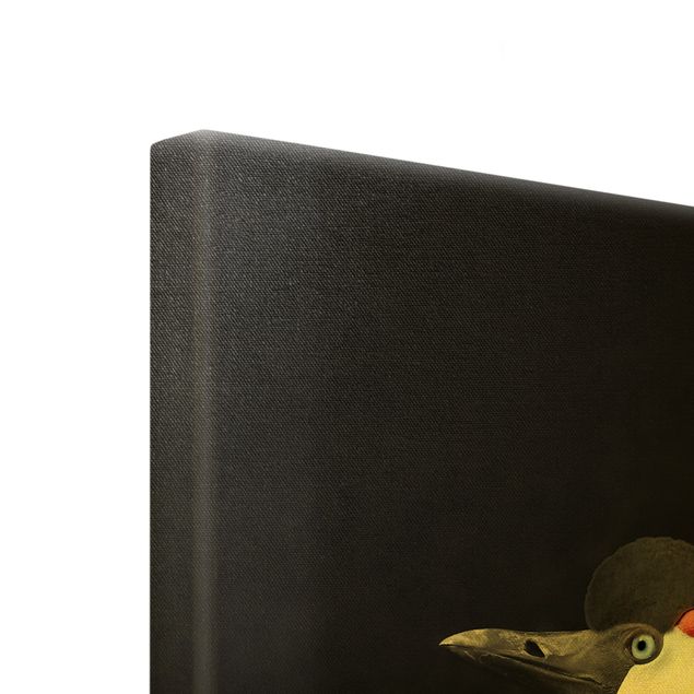 Cuadros en lienzo Black Crowned Crane