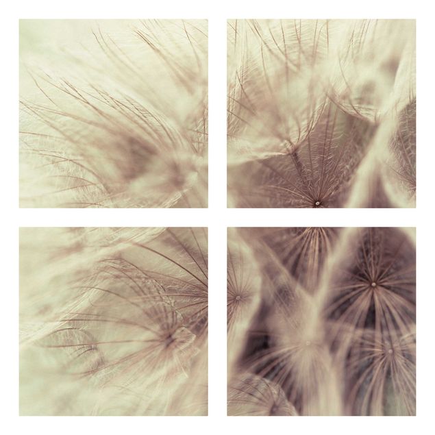 Lienzos de montañas Detailed Dandelion Macro Shot With Vintage Blur Effect
