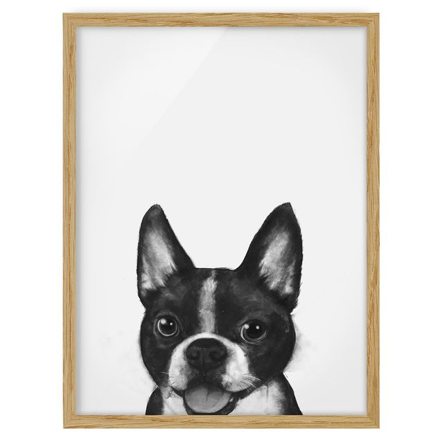 Pósters enmarcados de animales Illustration Dog Boston Black And White Painting