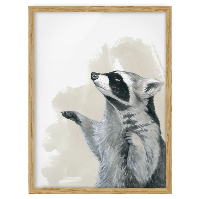 Cuadros modernos Forest Friends - Raccoon