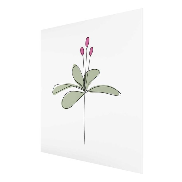 Cuadros de flores Lily Line Art