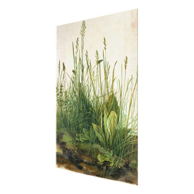 Cuadros plantas Albrecht Dürer - The Great Lawn