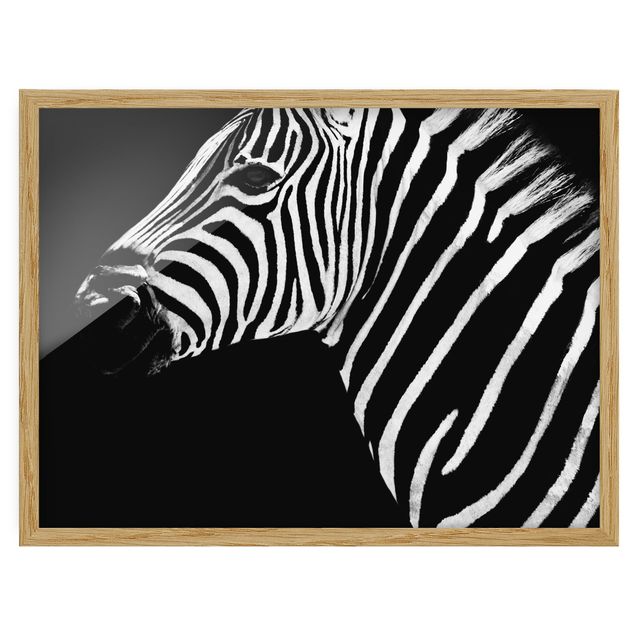 Pósters enmarcados en blanco y negro Zebra Safari Art