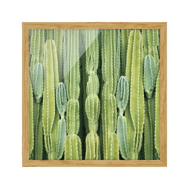 Cuadros de flores modernos Cactus Wall