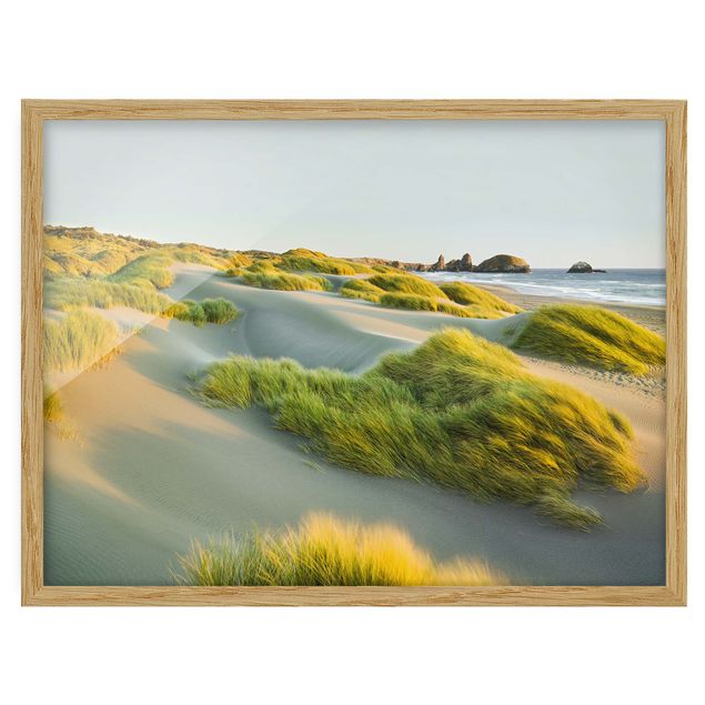 Cuadros playas Dunes And Grasses At The Sea