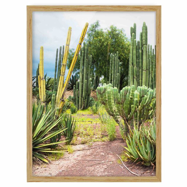 Pósters enmarcados flores Cactus Landscape