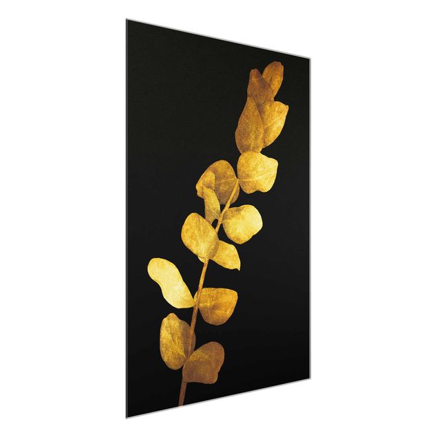 Cuadros plantas Gold - Eucalyptus On Black