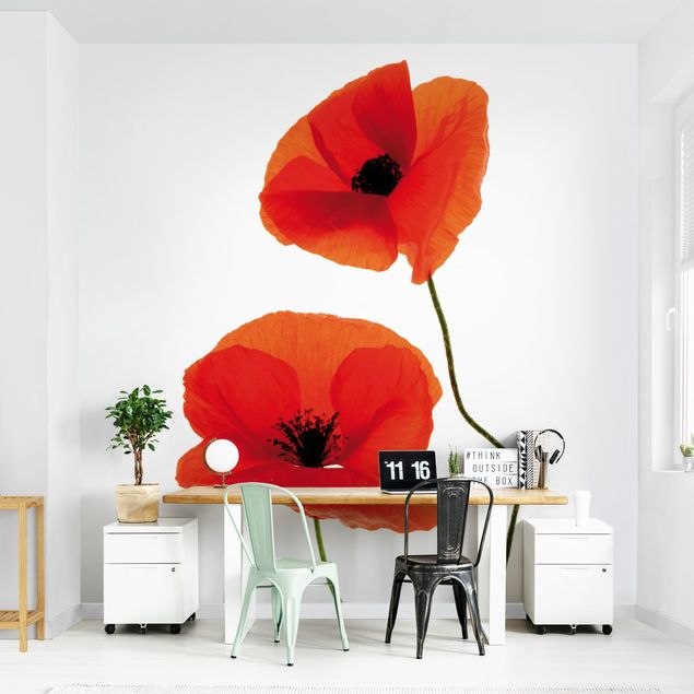 Papeles pintados modernos Charming Poppies