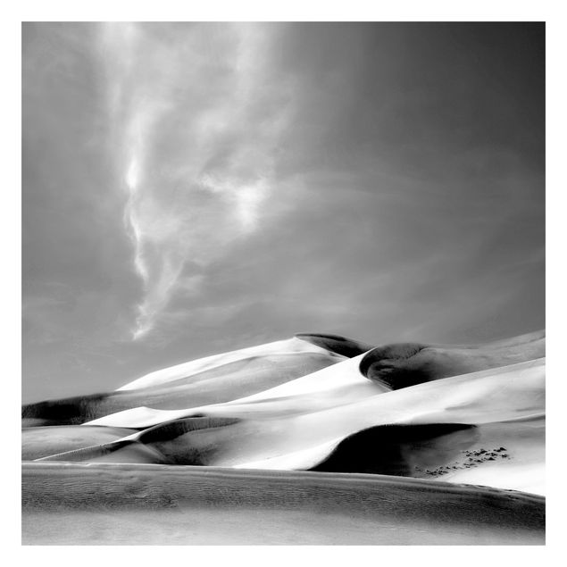 Papel pintado paisajes naturales Colorado Dunes Black And White