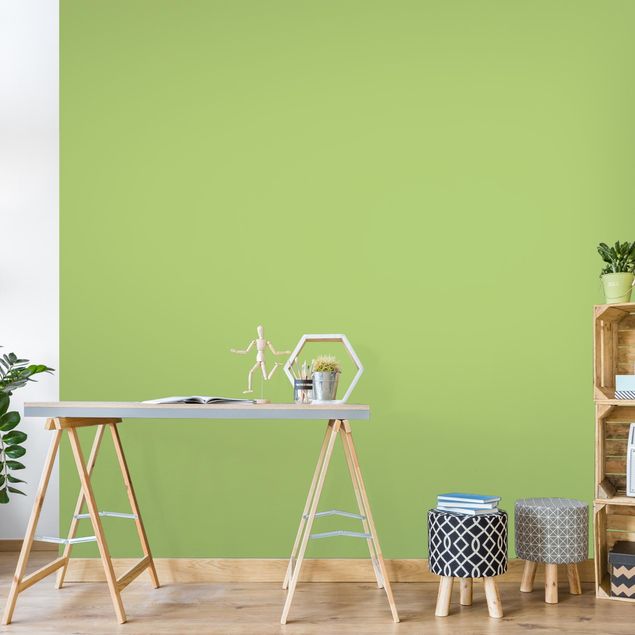 Papel pintado moderno Colour Spring Green